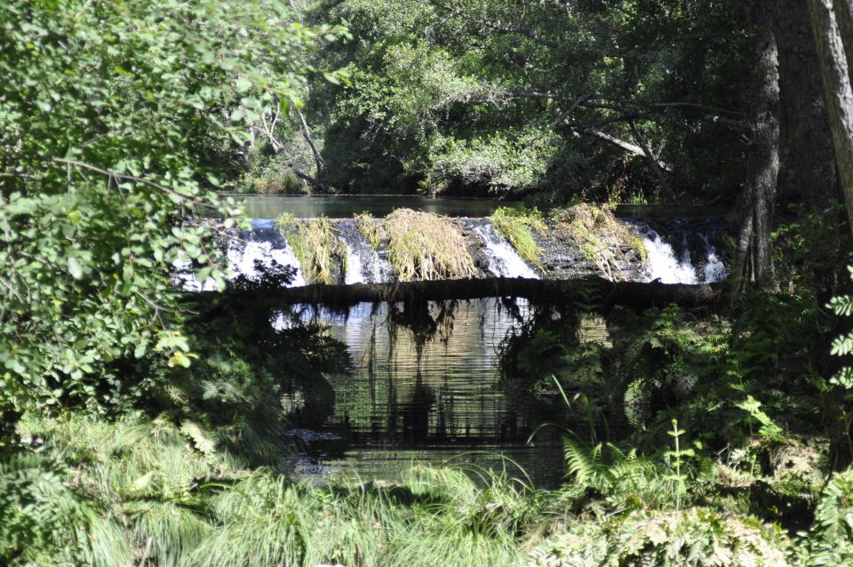 Sabugal Walking Tour: Stories and Charms of the Côa River - Booking and Cancellation Policies