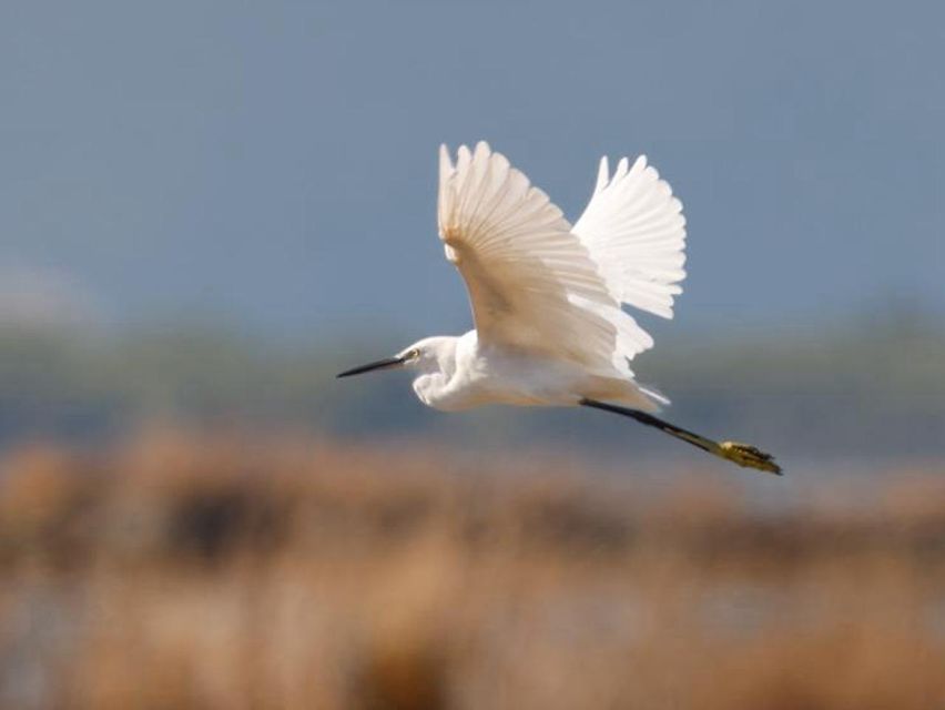 Safari & Birdwatching in Vjosa-Narta Protected Landscape - Local Cuisine Experience