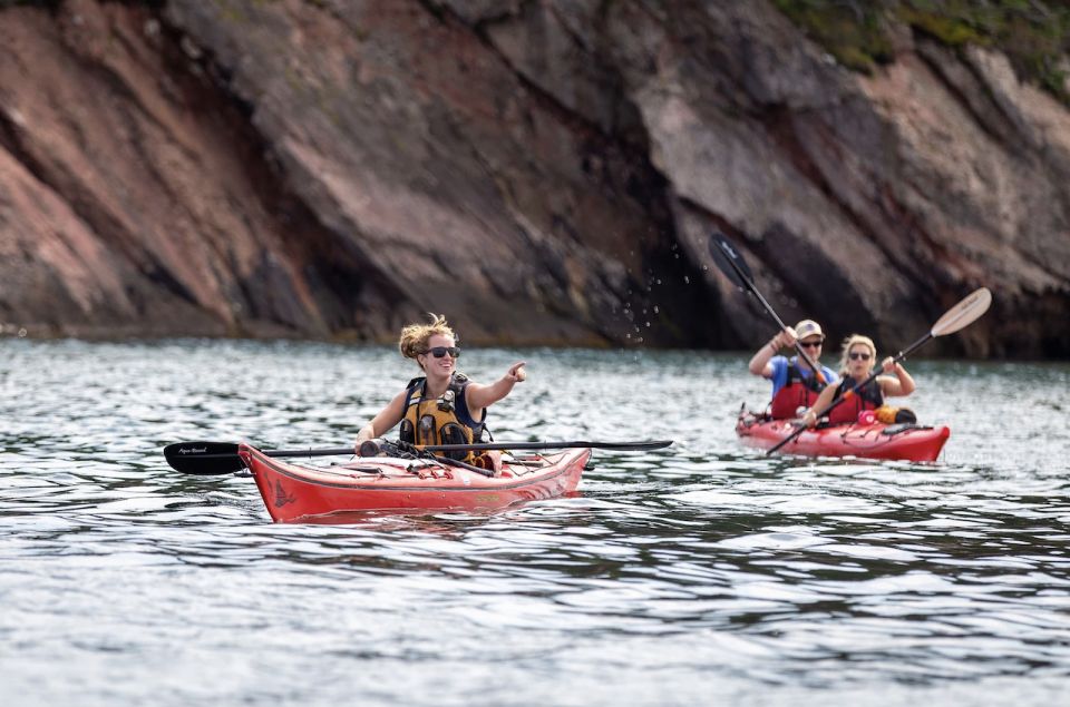 Saint John: Bay of Fundy Guided Kayaking Tour With Snack - Booking Information and Policies