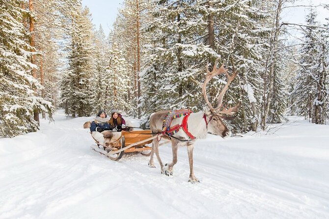 Santas Reindeer & Husky Safari + Santas Pets + Aurora BBQ! - Group Size and Capacity