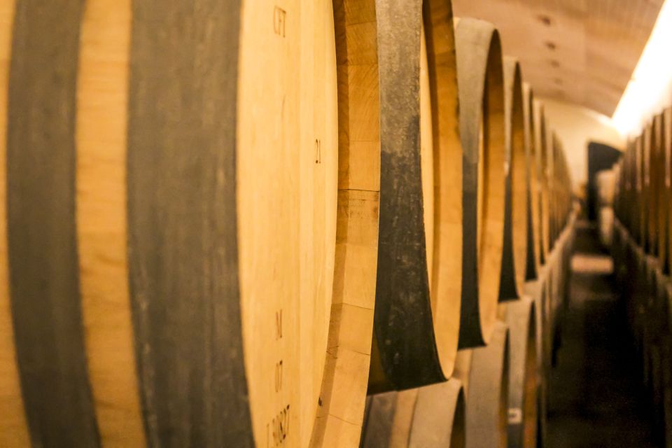 Santiago: Main Chilean Wineries Private Half-Day Tours - Frequently Asked Questions
