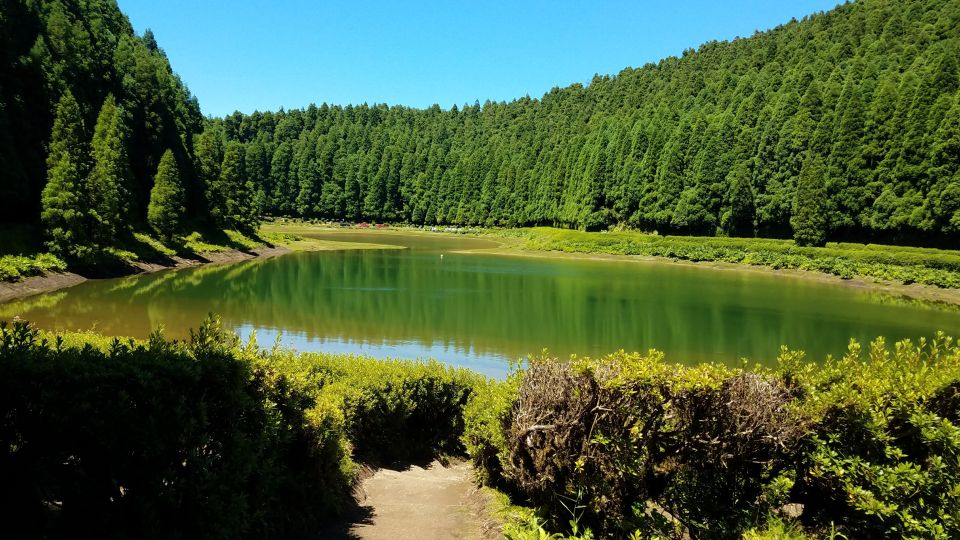 São Miguel: Sete Cidades and Lagoa Do Fogo Full-Day Tour - Tour Operator Information