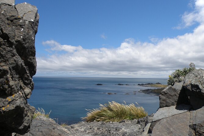 Scenic South Wairarapa Full Day Tour From Wellington - Customer Reviews