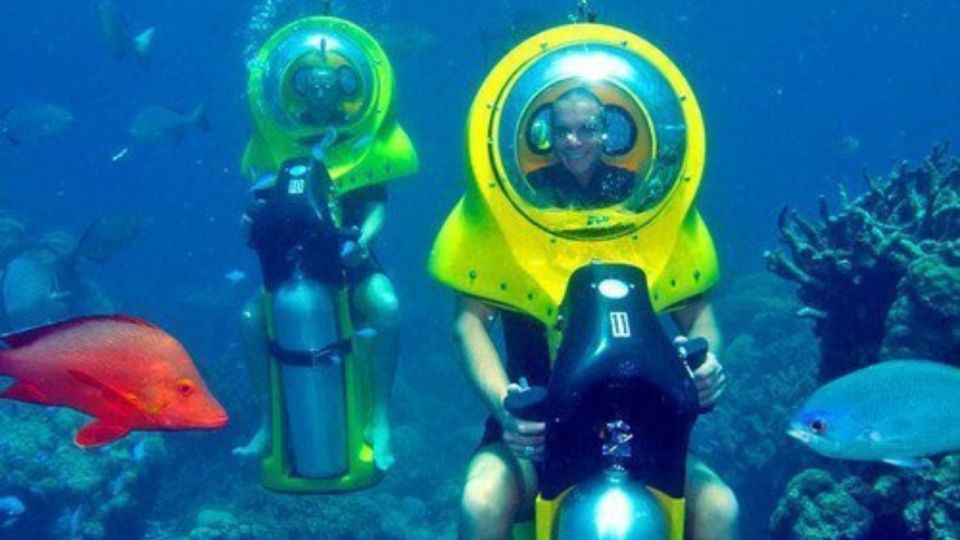 Scoba Doo Discover the Underwater Wonders of Punta Cana - Explore a Renowned Diving Spot