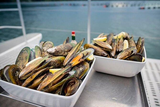 Seafood Odyssea Marlborough Sounds Cruise From Picton - Tips for Travelers