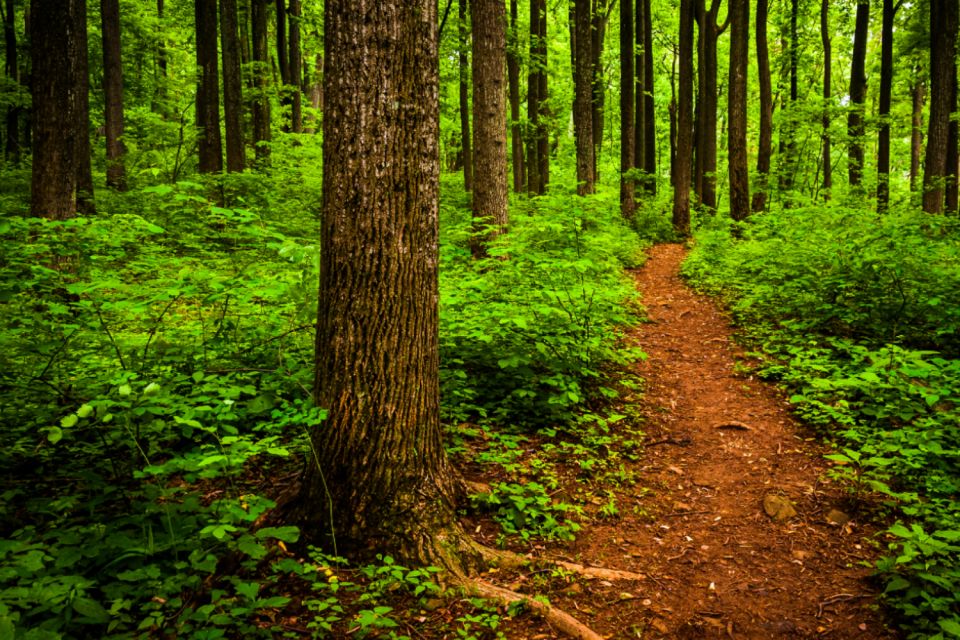 Shenandoah National Park: Self-Driving Audio Guide - Iroquois History and European Settlement