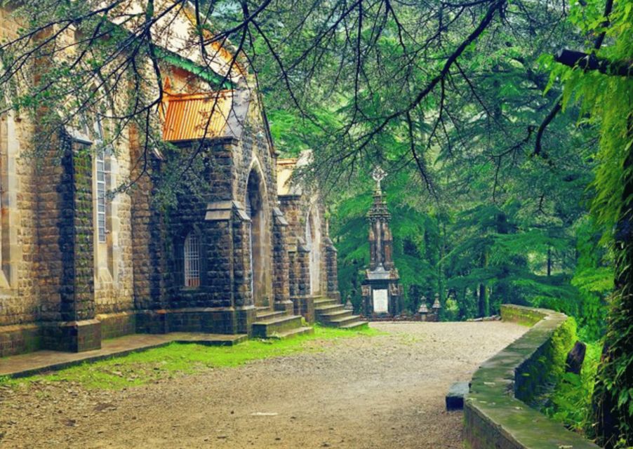 Shimla Nature Walk (3 Hours Guided Trekking Experience) - Tips for Your Trek