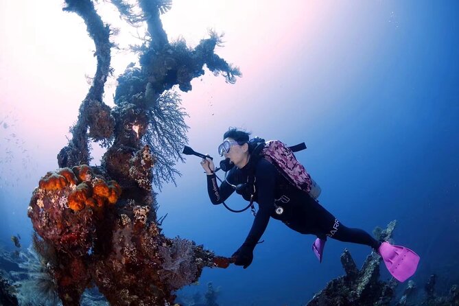 Shipwreck Diving in Tulamben - Booking and Cancellation Policies
