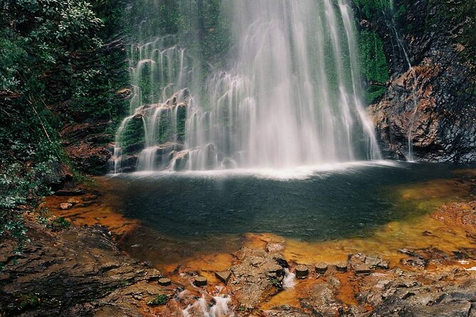 Silver and Love Waterfall, Lonely Tree Private Tour By Car - Tips for a Great Experience
