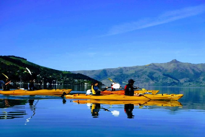 Small Group Guided Sea Kayaking in Akaroa Marine Reserve - Booking and Cancellation Policies