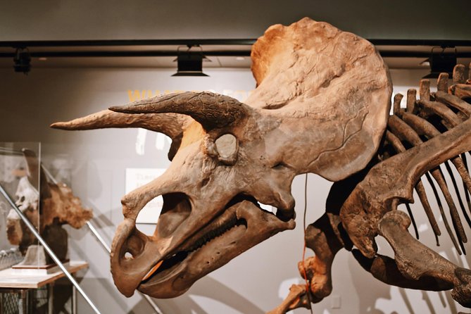 Smithsonian Museum of Natural History - Exclusive Guided Tour - How to Prepare for Your Tour