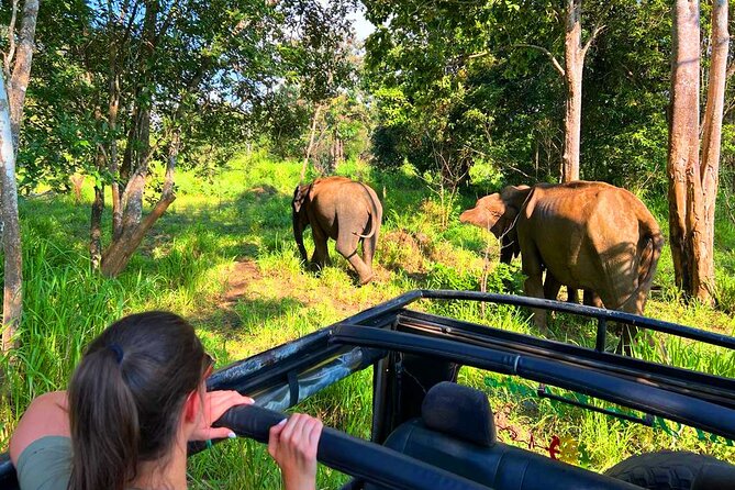 Sri Lanka Tour 06 Nights 07 Days With Hotels & Transport - Tips for Your Sri Lanka Tour