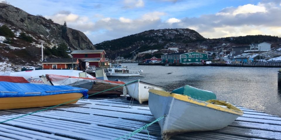 St. John'S: Small Group Tour With Iceberg Quest Boat Cruise - Additional Information