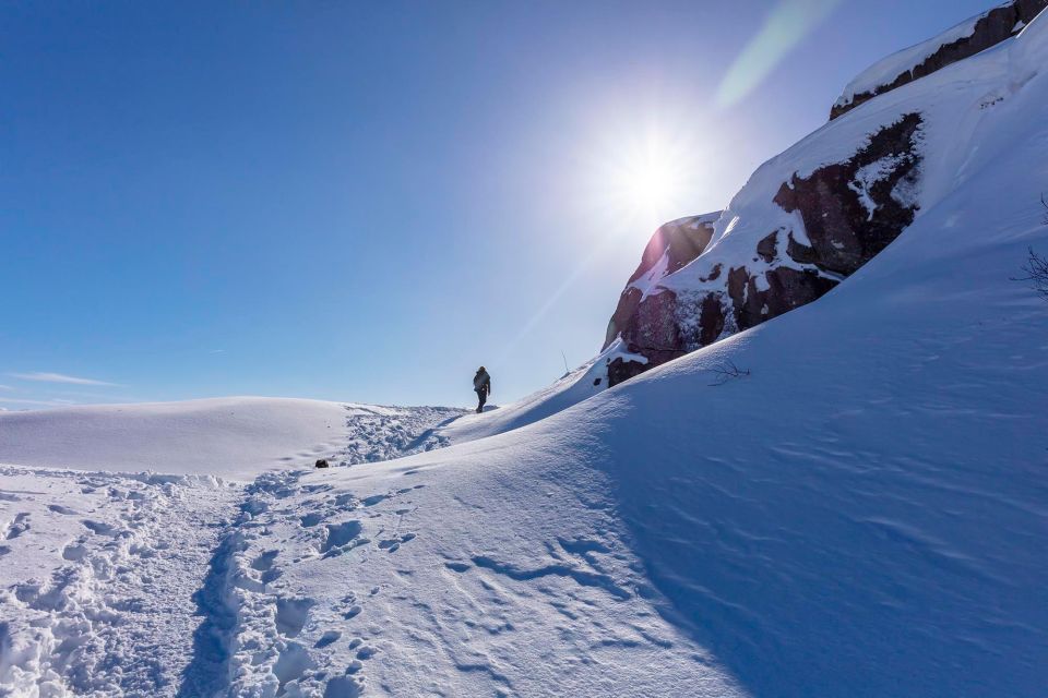 Stavanger: Preikestolen Winter Hike - Exploring Stavanger Before and After