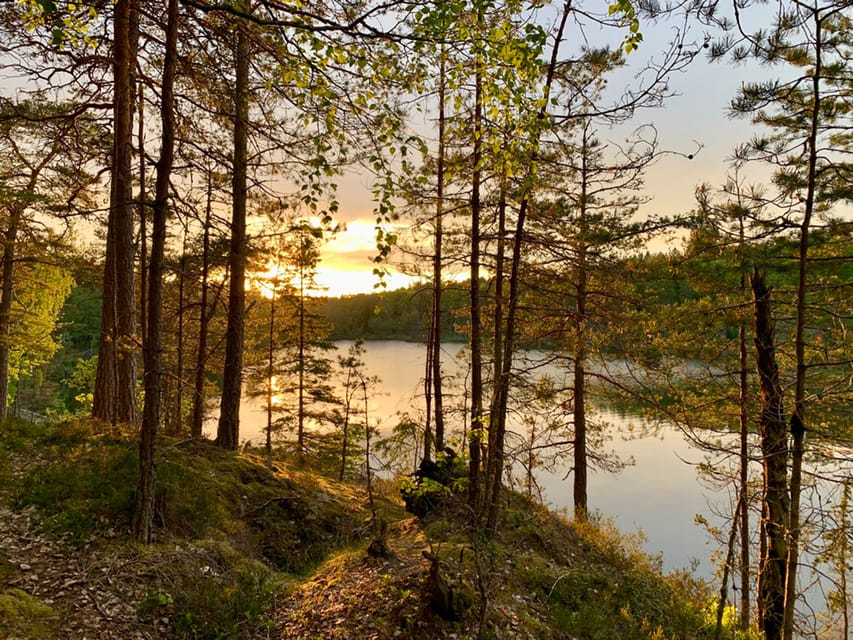 Stockholm: Tyresta National Park Sunset Hike With Meal - Highlights of the Tour