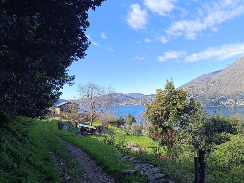 Summer Excursion in the Woods From Como to Torno - Scenic Spots Along the Route