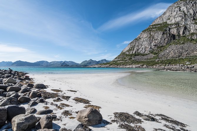 Summer Full-Day Guided Tour of the Lofoten Islands - About Lofoten Lights