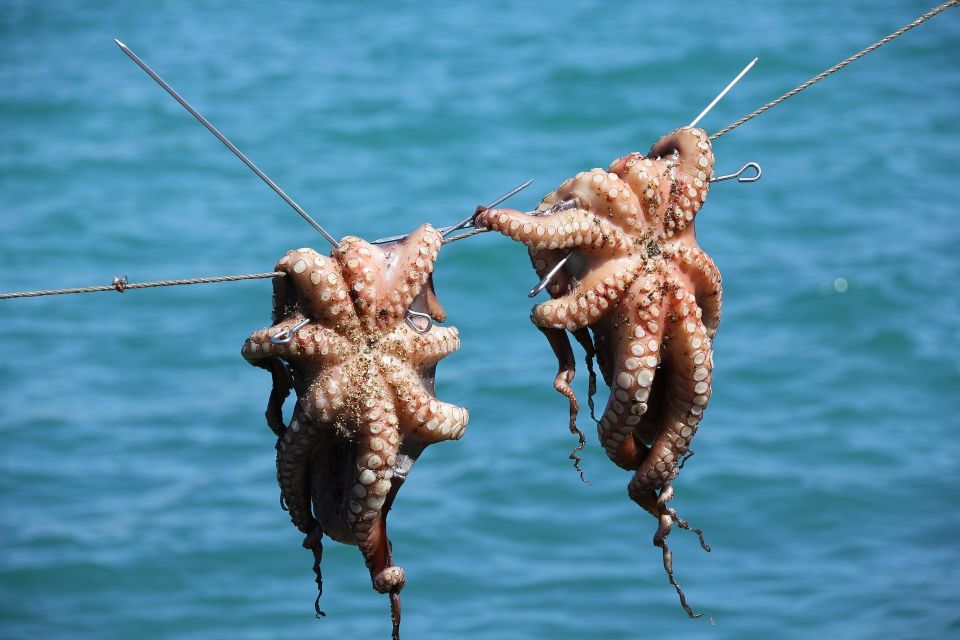 Sunset Cruise & Night Squid Fishing in Phu Quoc - Tips for a Great Experience