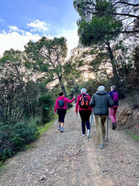 Sunset Tour at a Domus De Janas & Naturetherapy - Exploring the Domus De Janas