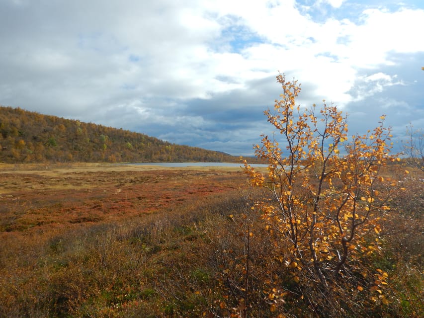Swedish Lapland: a Trekking Week With Helicopterflight - Pricing and Cancellation Policy