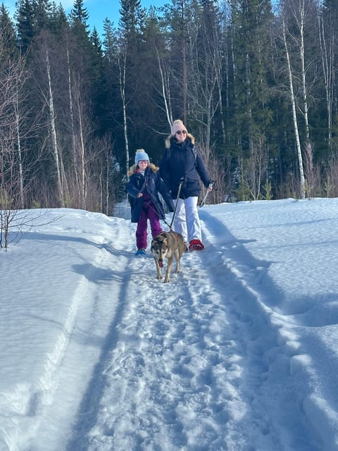 Swedish Lapland : Sled Dog and Reindeer Farm With the Family - Excluded Services