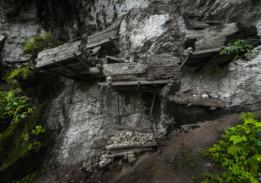 Tana Toraja: Private 3D2N Tour in South Sulawesi - Getting There