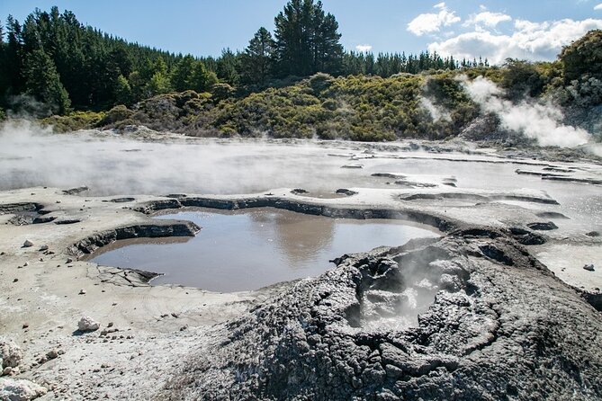 Tauranga Shore Excursion: Rotorua Hells Gate Experience - Booking Information and Contacts