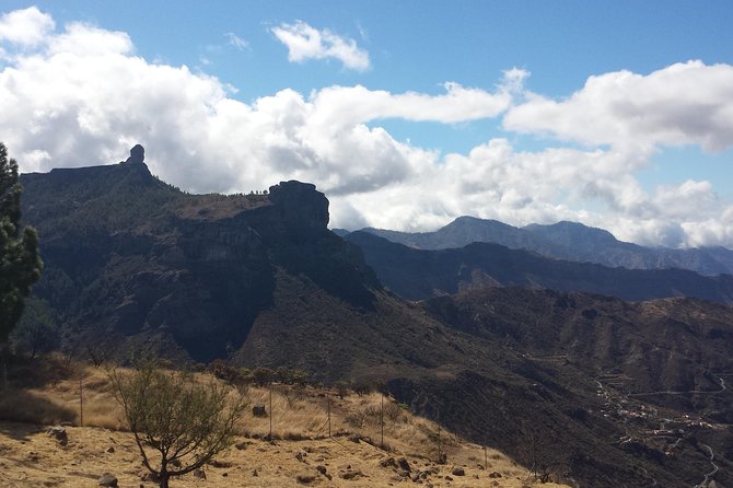 Tejeda & Sacred Mountains With Tapas Meal by 2 Native Guides - Booking Your Experience