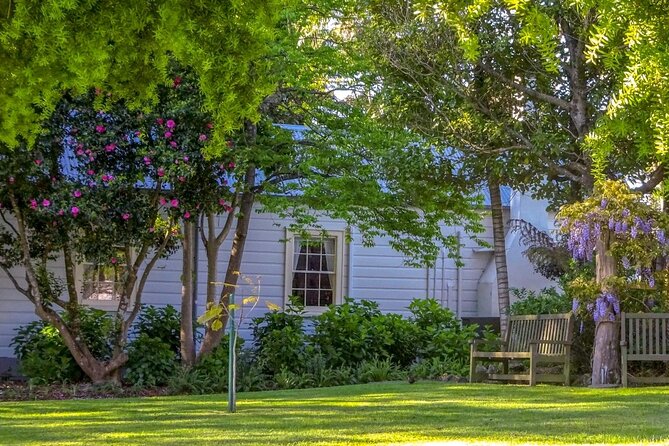 The Best of Tauranga Walking Tour - Tips for Tour Participants