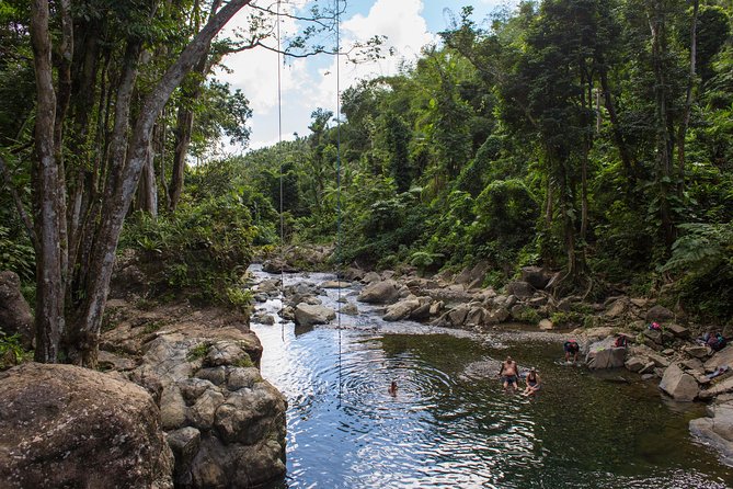 The El Yunque Rainforest and Bio Bay Kayaking Combo Tour - Gratuity for Guide
