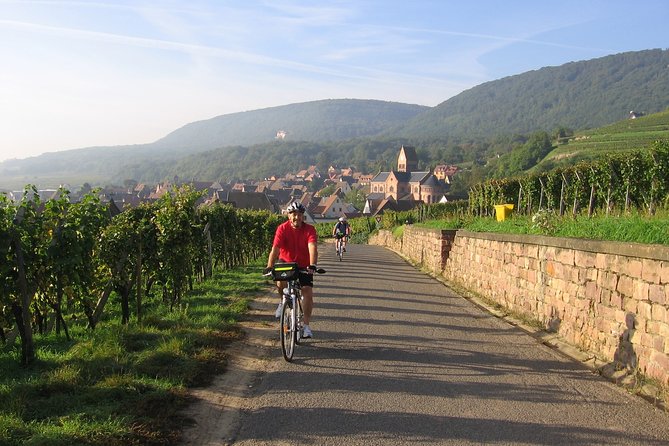 Through Alsace Vineyards and Wine Villages Private Bike Tour - Booking Your Adventure