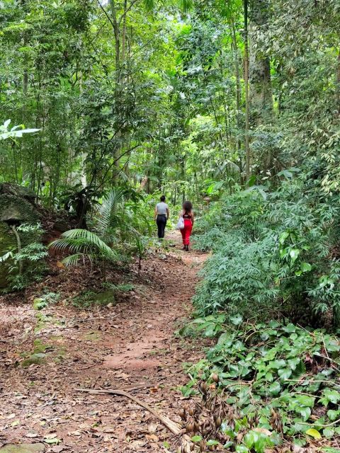 Tijuca Forests Hike: Caves, Waterfalls and Great Views - What to Prepare