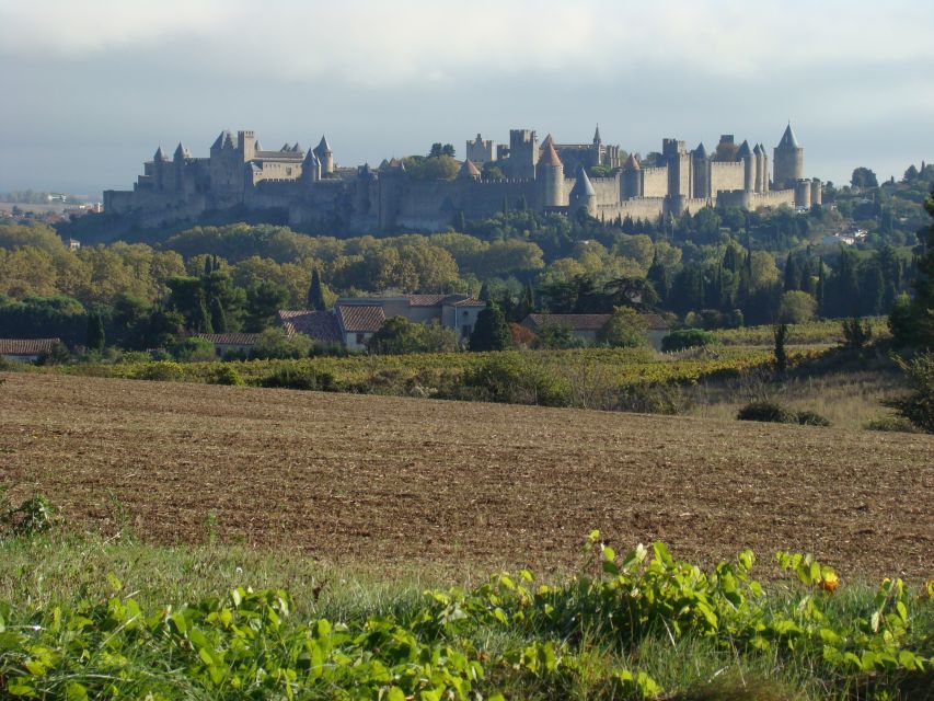 Toulouse to Carcassonne & Albi: Private Sightseeing Tour - Important Considerations