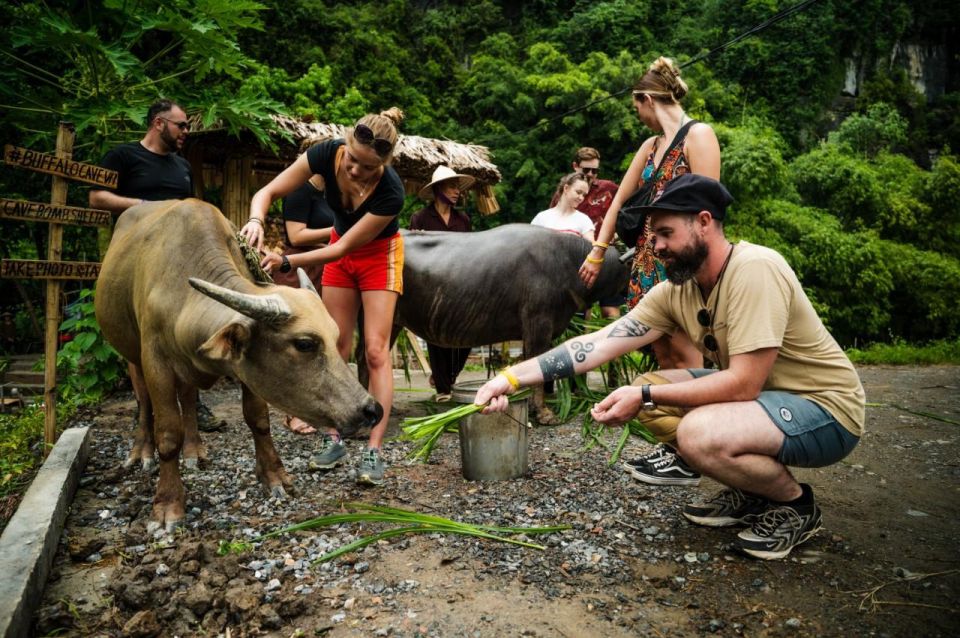 Tour Experience Riding Buffalo,Fishing, Boating and Mua Cave - Nearby Attractions