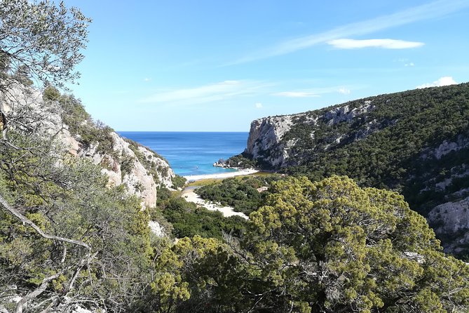 Trekking to Cala Luna, the Pearl of the Gulf of Orosei - Meeting Points and Logistics