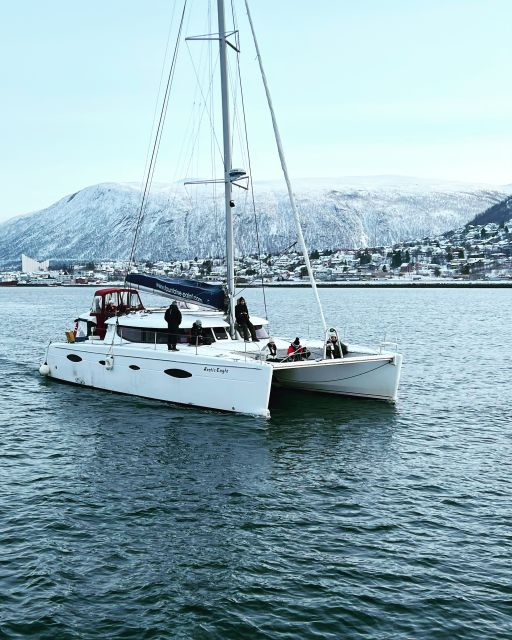 Tromsø: Arctic Fjord Sightseeing Cruise in Luxury Catamaran - Local Cuisine Tasting Experience