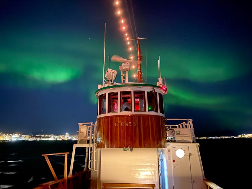 Tromsø: Arctic Light Evening Cruise With Fish Soup - Customer Reviews