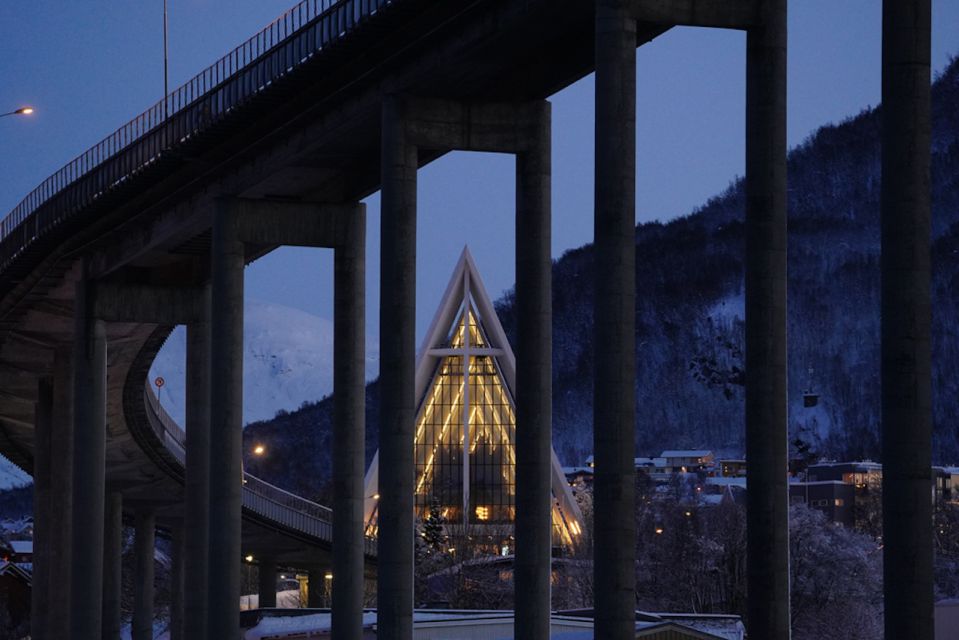Tromsø: Aurora Dinner Cruise by Hybrid-Electric Catamaran - Tips for a Great Experience