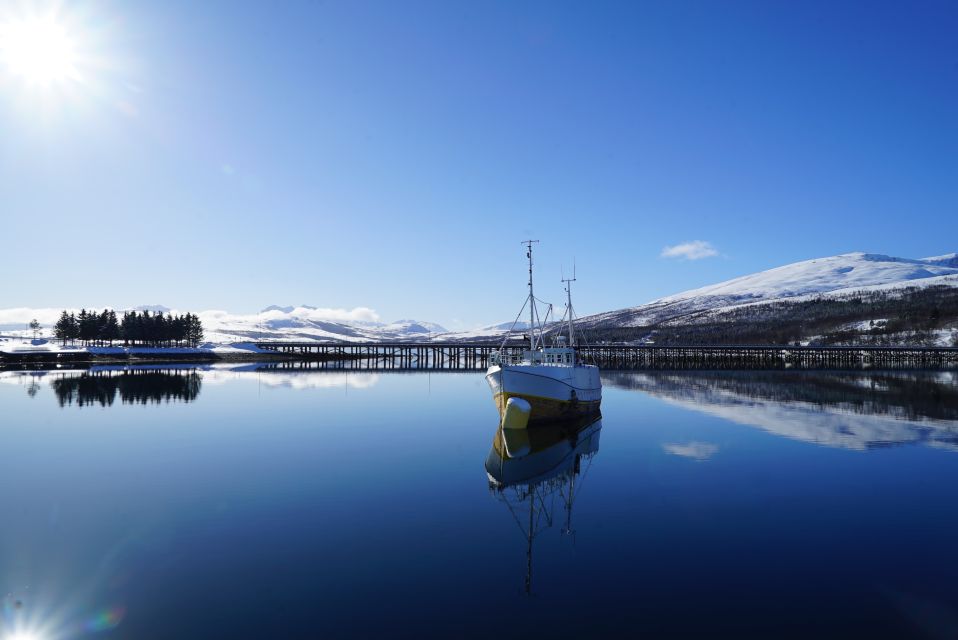 Tromsø: Fjord Cruise by Luxury Yacht - Booking Information and Policies