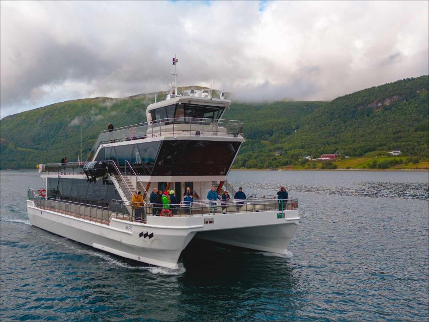 Tromsø: Midnight Sun or Sunset Cruise With a Guide - Tips for an Enjoyable Experience