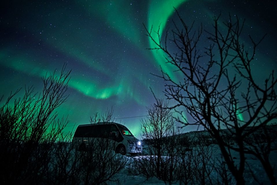 Tromsø: Northern Lights Chase Minibus Tour With Campfire - Additional Activities in Tromsø