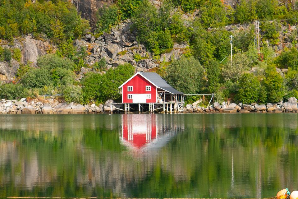 Tromsø: Private Arctic Fjords and Sommarøy Scenic Day Trip - Frequently Asked Questions
