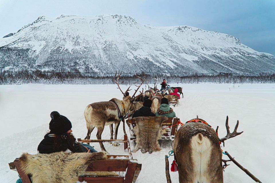 Tromsø: Sami Reindeer Sledding and Sami Cultural Tour - Frequently Asked Questions