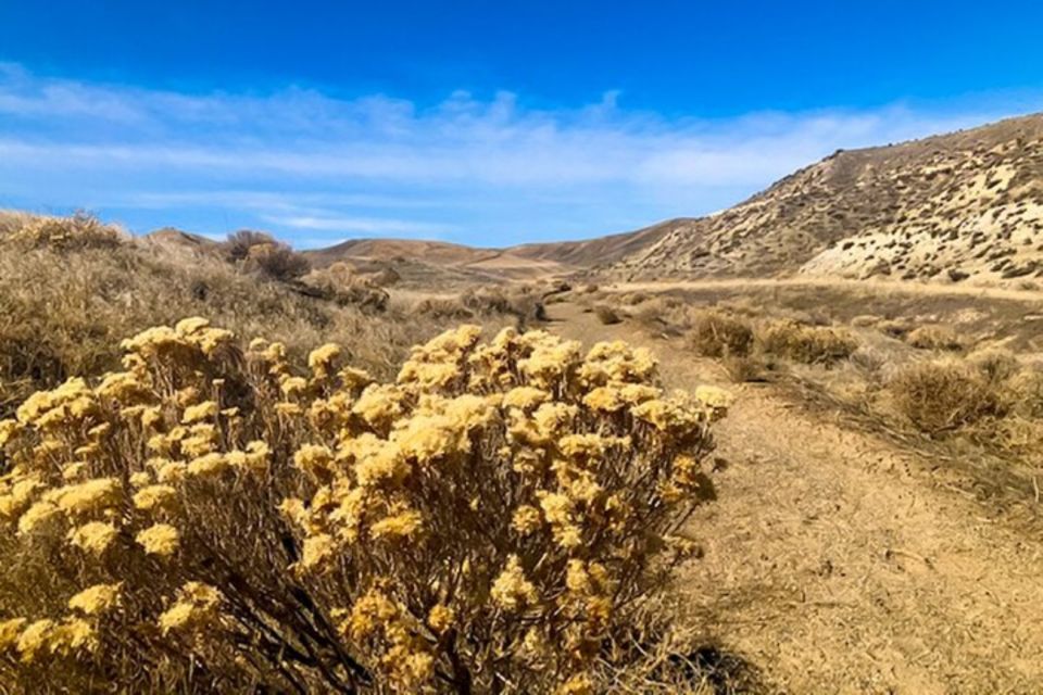 Twin Falls: Off the Beaten Path Guided Half-Day Tour - Balanced Rock