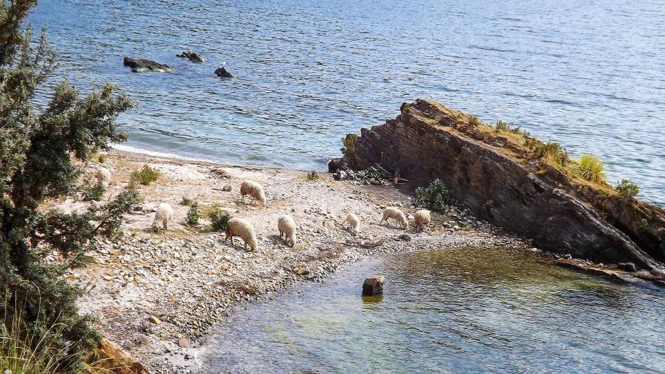 Two Day Lake Titicaca Tour With Homestay - Optional Activities
