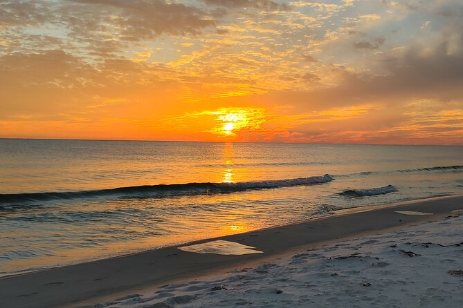 Two Hour Private Sightseeing/Dolphin Tour in Panama City Beach - Tips for a Great Tour