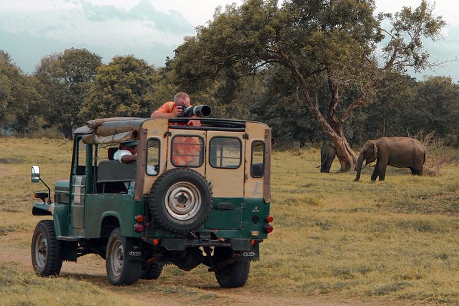 Udawalawe National Park Safari From Mirissa - How to Book