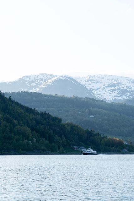 Ulvik Adventure: Exploring Hardangerfjords Osafjord by RIB - Tips for Your Adventure