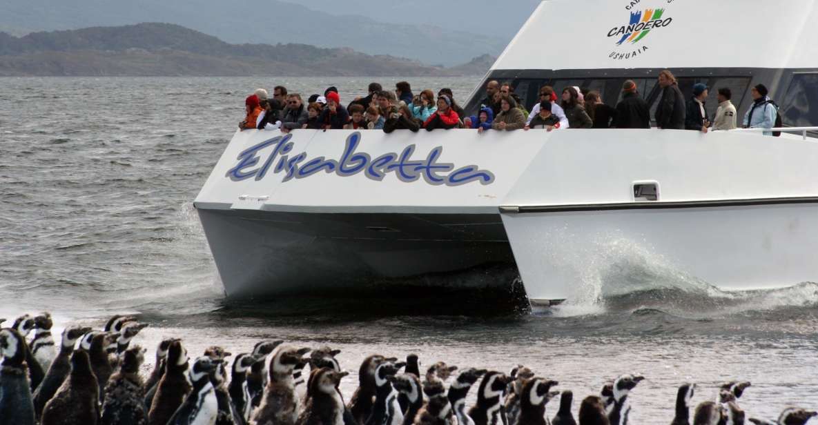 Ushuaia: Penguin Watching Tour by Catamaran - Tips for a Great Experience