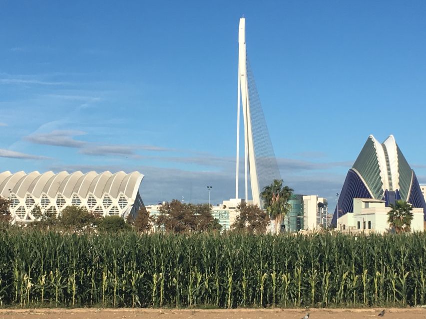 Valencia: Private 4-Hour Shore Excursion - Historic Old Town